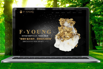 ¦�׸������ﱦʯ